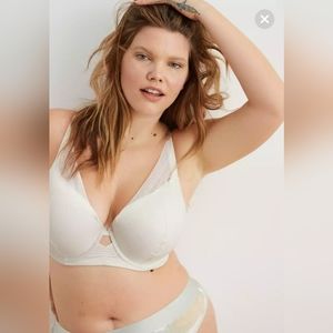 Aerie Push up Bra